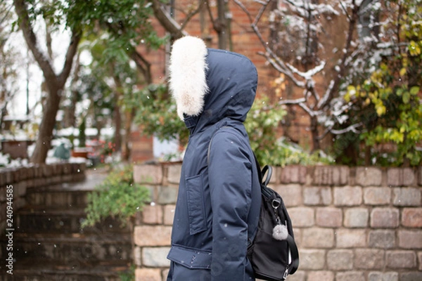 Fototapeta 雪と女性