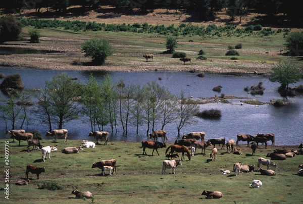 Obraz lago flumendosa