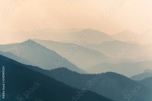 Obraz View