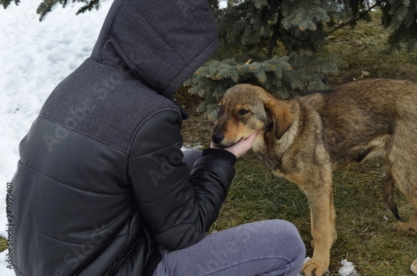Obraz A boy who loves a stray dog