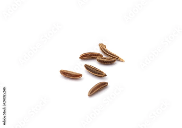 Obraz Caraway na białym tle.