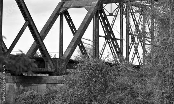 Obraz Railroad Bridge and trees