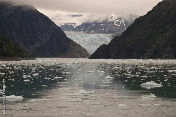 Fototapeta Tracy Arm Fjord