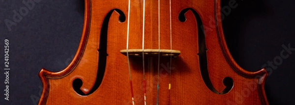 Obraz violin