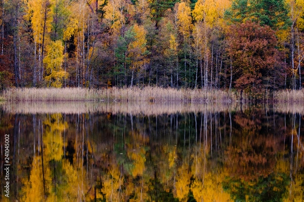 Obraz Jesienne odbicie