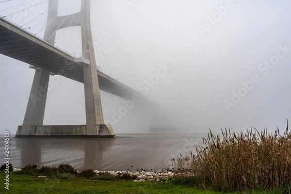 Obraz bridge over the river
