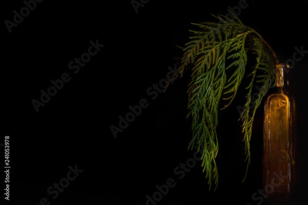 Obraz Christmas Pine