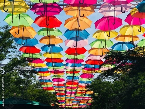 Obraz Umbrella Sky