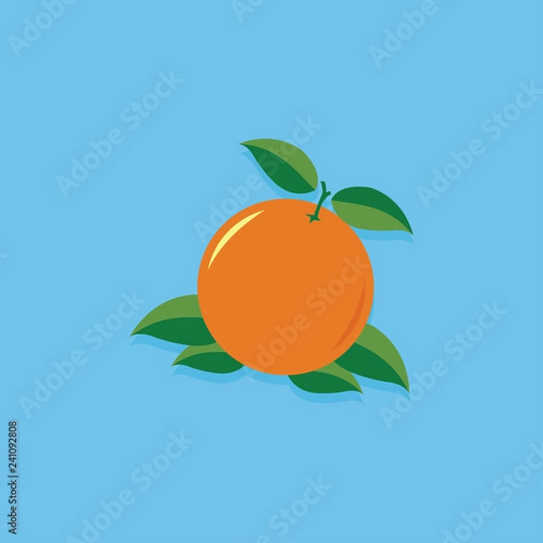Obraz Orange Fruit Vector Illustration