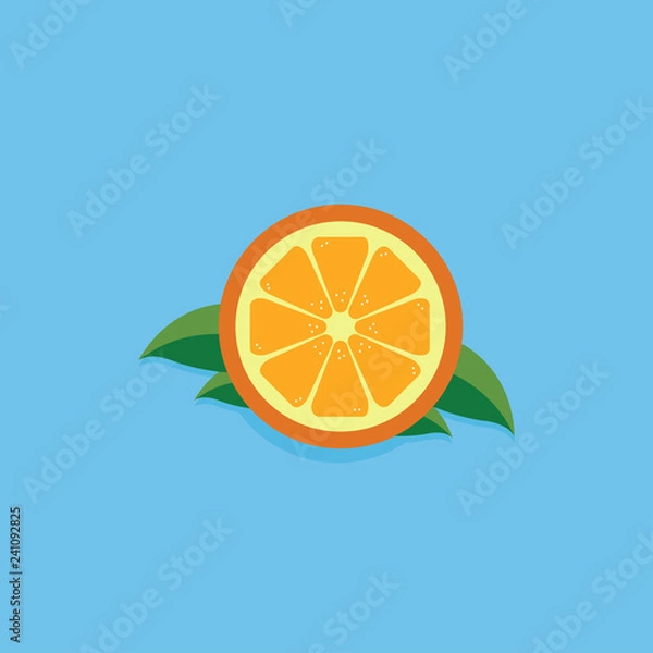 Fototapeta Orange Fruit Vector Illustration