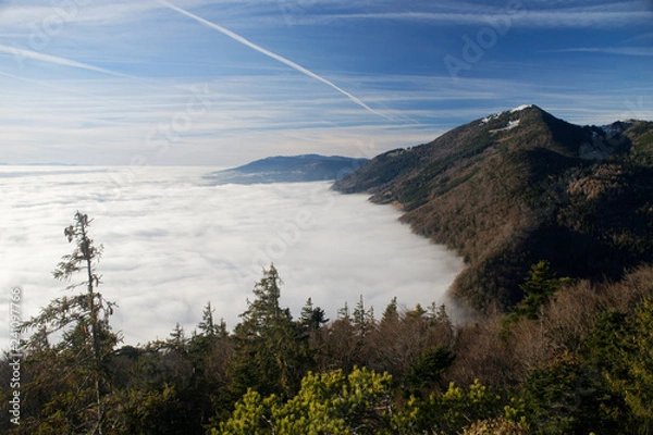 Fototapeta Mer de Brouillard