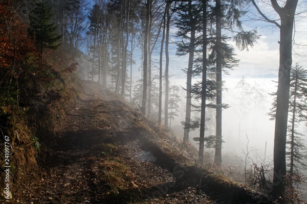 Obraz Mer de Brouillard
