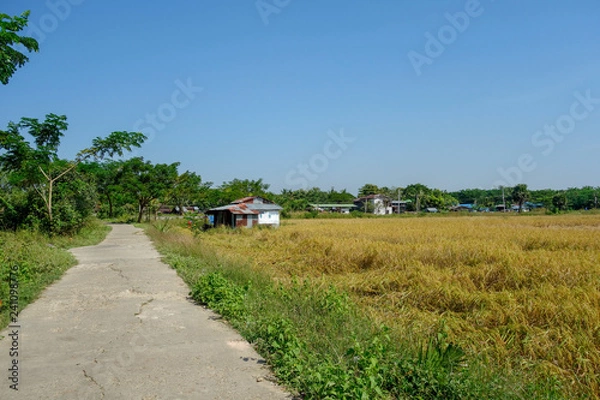 Obraz ミャンマー　ダラ地区　風景