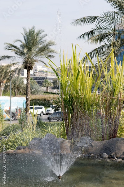 Obraz Palm and Grass