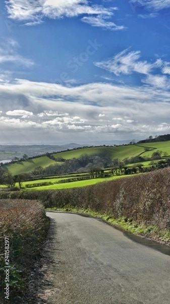 Fototapeta Devon Byway