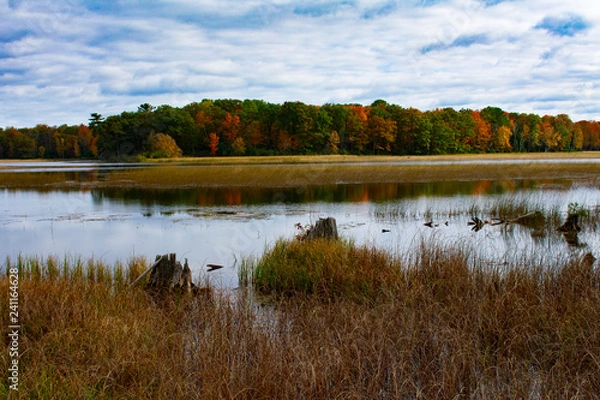 Obraz Fall Forest Reflection With Rolling Clouds at Iargo Springs