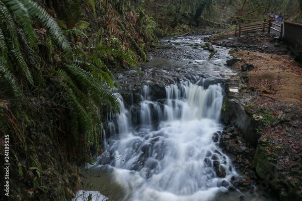 Fototapeta Waterfall in Balch Creek in Forest Park, Portland, Oregon