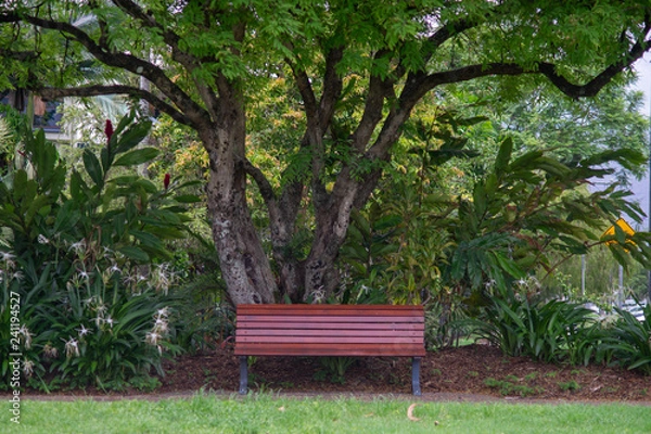 Fototapeta Empty park bench underneath the canopy of a tree