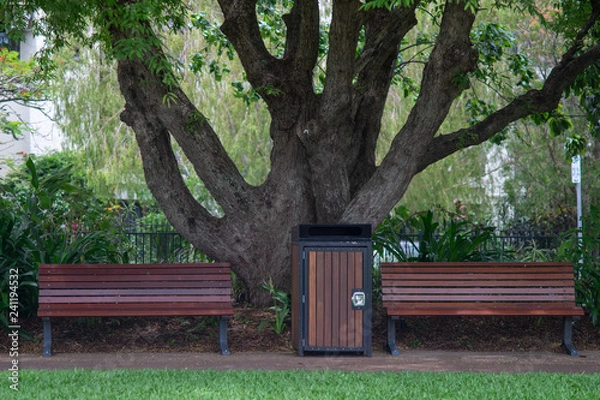 Fototapeta Empty park bench underneath the canopy of a tree