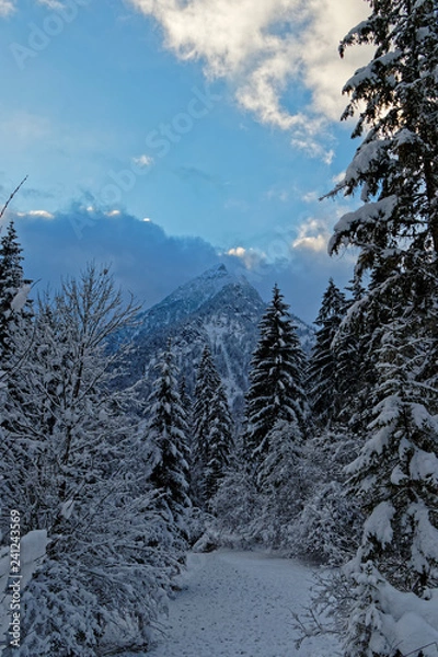 Obraz Hinterstoder Winterlandschaft
