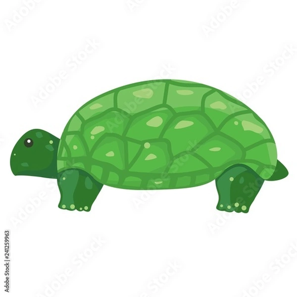Fototapeta Funny illustration of a turtle