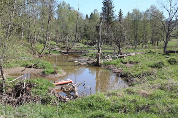 Obraz Bieszczady 2018