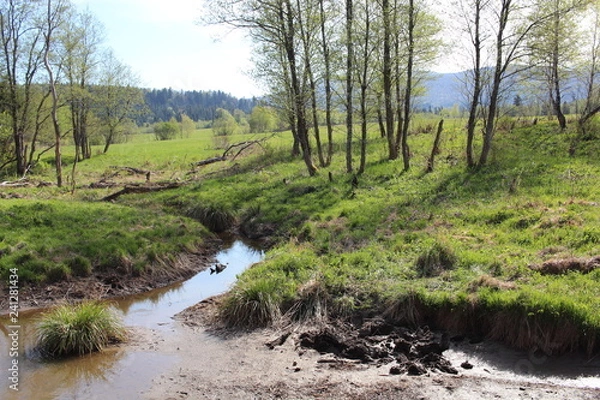 Obraz Bieszczady 2018
