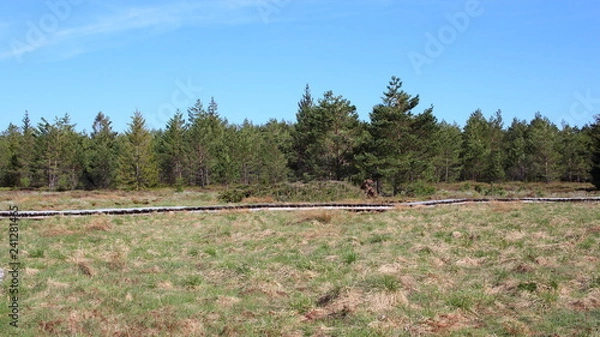 Obraz Bieszczady 2018