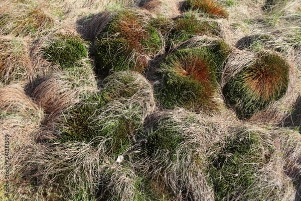 Obraz Bieszczady 2018