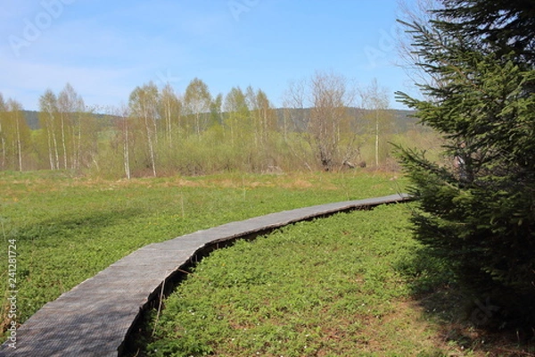 Obraz Bieszczady 2018
