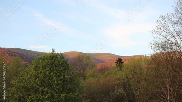 Obraz Bieszczady 2018