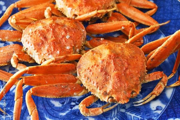 Obraz 冬の味覚せいこがにを肴に一献