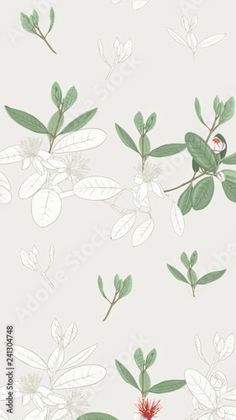Obraz Pattern, background with with feijoa flowers