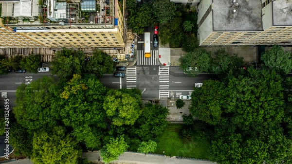 Obraz Overhead Central Park