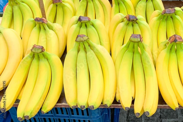 Fototapeta Close up view of bananas in a row