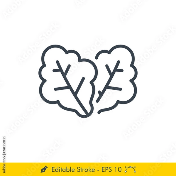 Fototapeta Lettuce Icon / Vector - In Line / Stroke Design