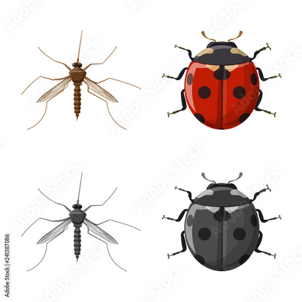 Fototapeta Vector design of insect and fly sign. Collection of insect and element stock vector illustration.