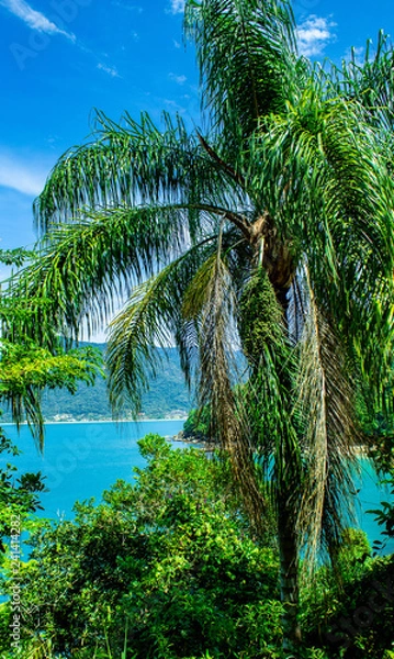 Fototapeta Vista mar