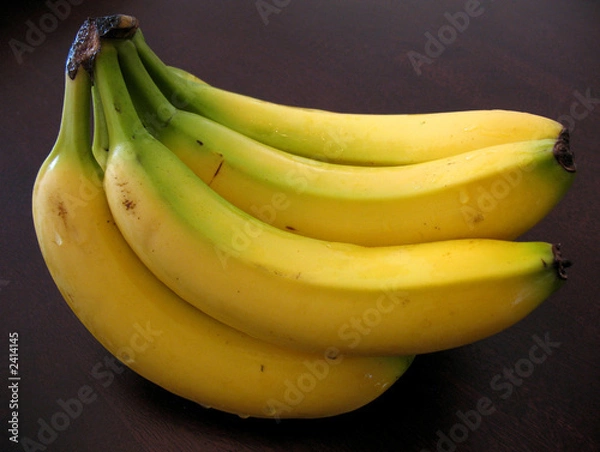 Obraz pęczek bananów