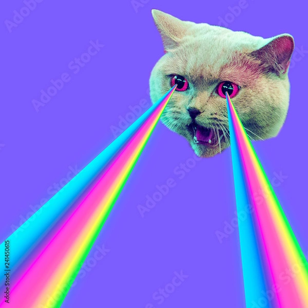 Obraz Zły kot z tęczowymi laserami w oczach. Minimalna koncepcja mody kolażu