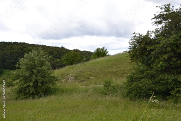 Fototapeta Природа Крыма