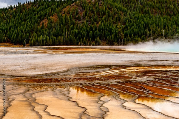 Fototapeta Yellowstone