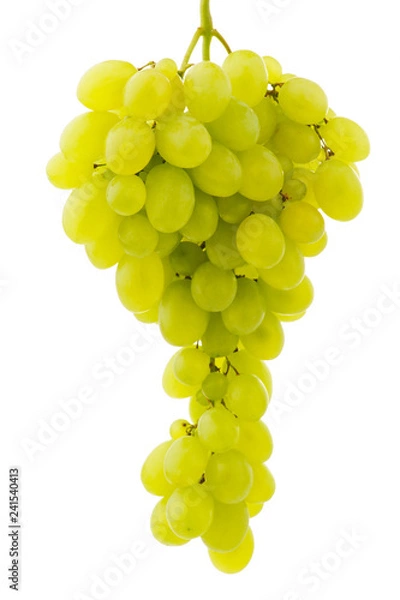Obraz Single bunch of grapes