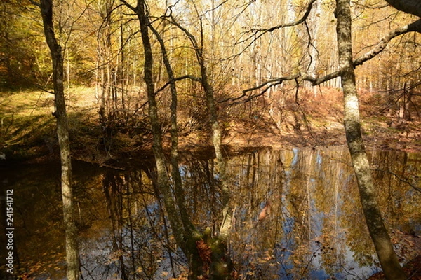Obraz Hüzünbaz Sonbahar
