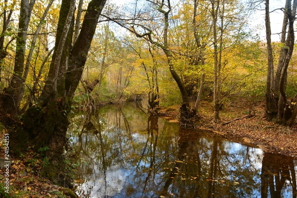 Obraz Sonbahar Yansımaları