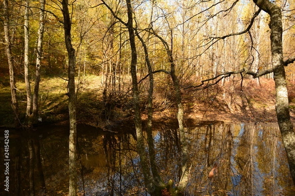 Fototapeta Dere Kenarı