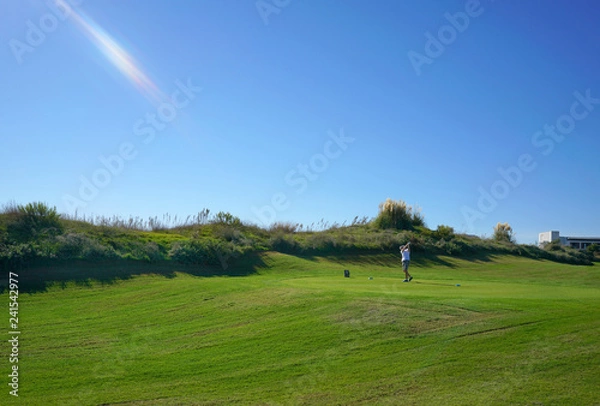 Obraz Links golf course and ball  