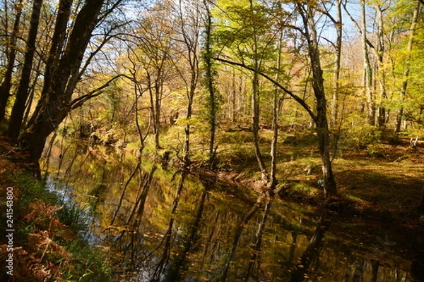 Obraz Yeşilin Tonları