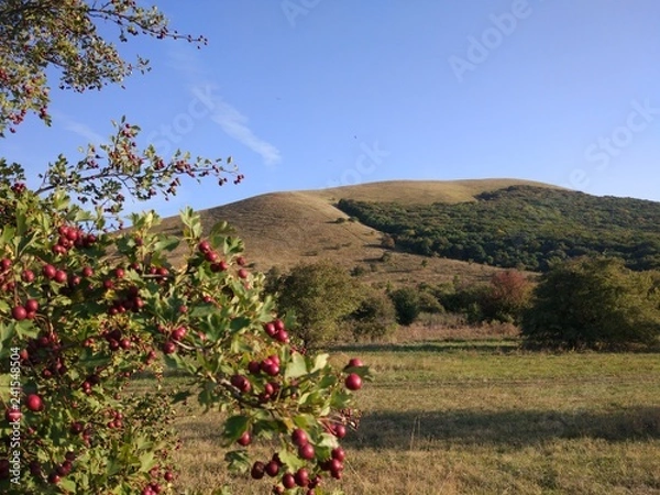 Obraz Mount Yutsa