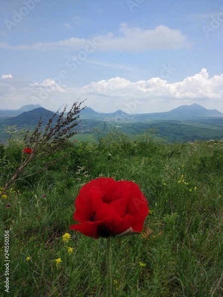 Obraz Spring in the mountains